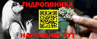 стафф Бийск