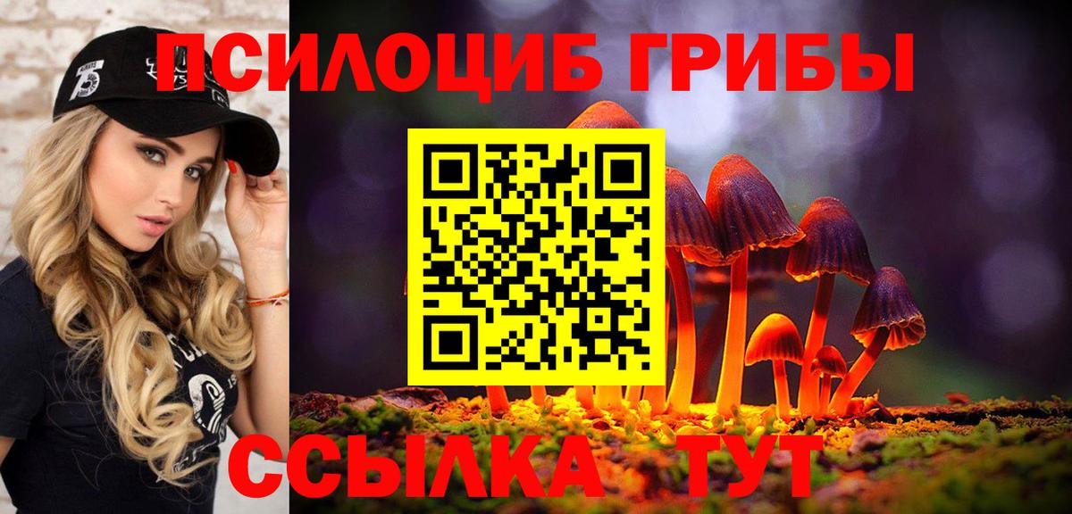 МЕФ Касимов