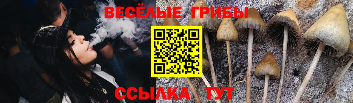 Касимов  Псилоцибиновые грибы Cubensis  Псилоцибиновые грибы Magic Shrooms  Вход с VPN 